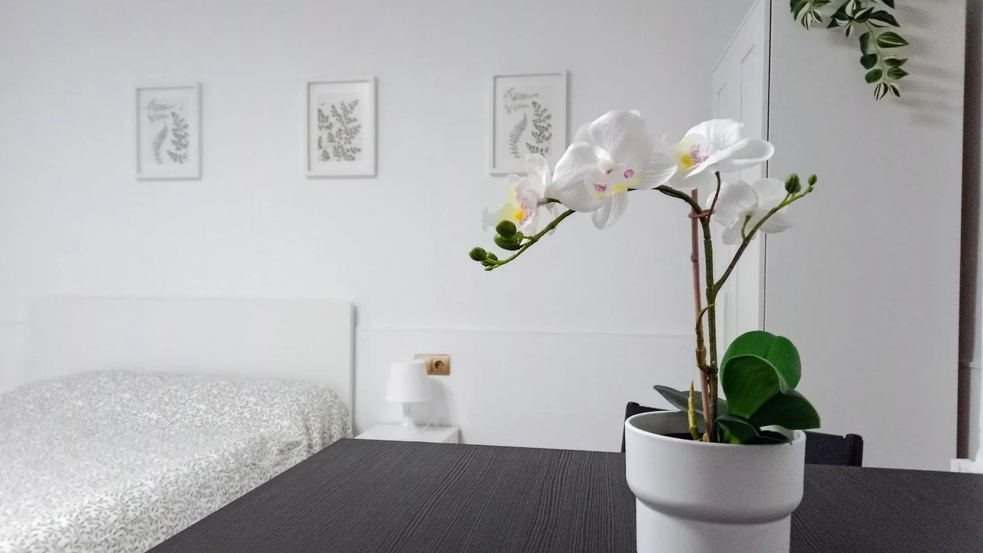 Hermoso Estudio Centro De Malaga
